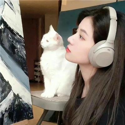 鬼猫